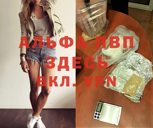 спиды Аркадак