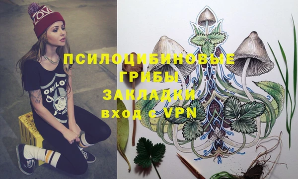 спиды Аркадак