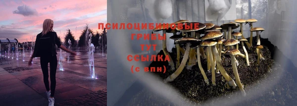 прущая мука Арсеньев