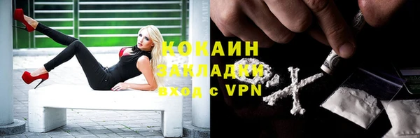 прущая мука Арсеньев